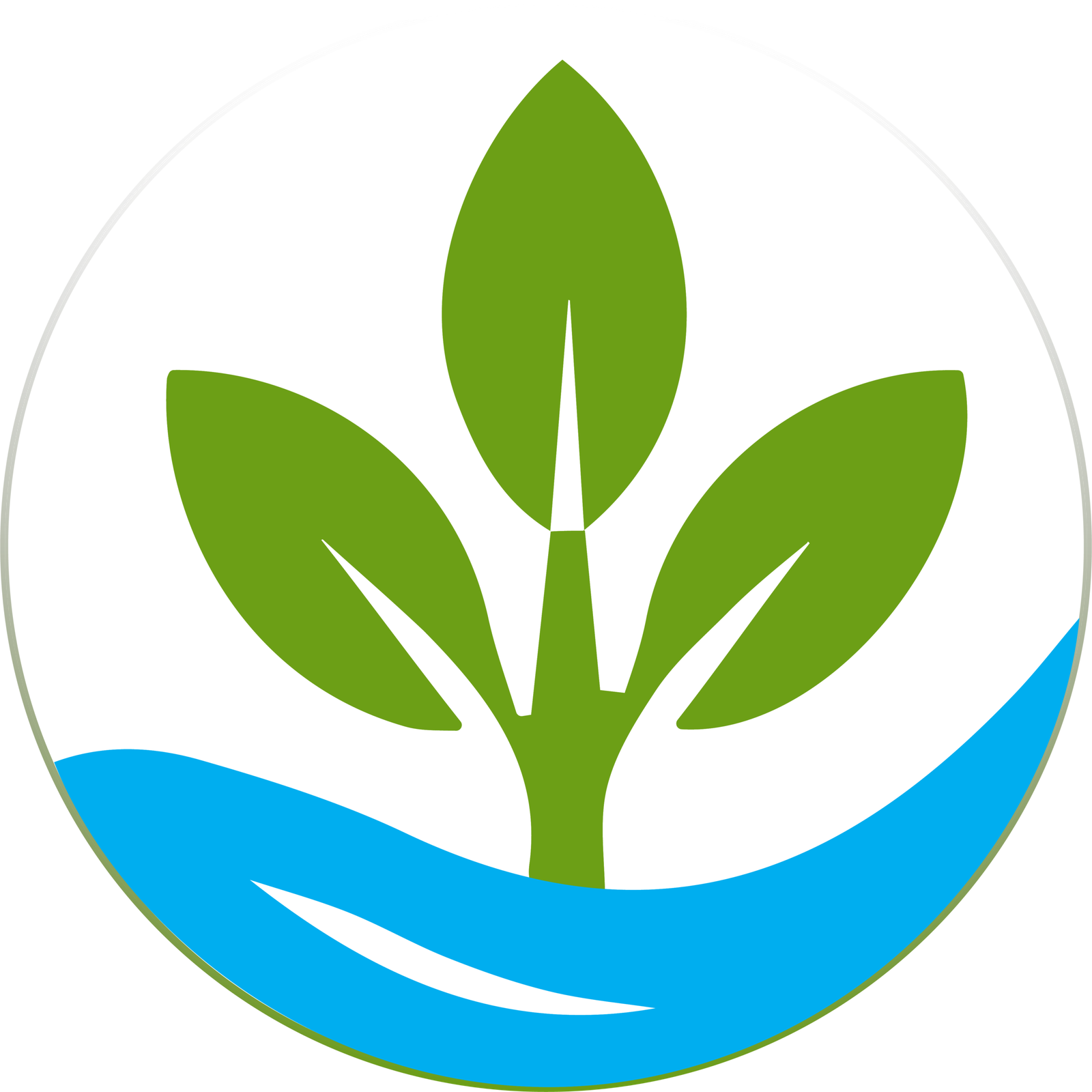dhulmaalplus.com